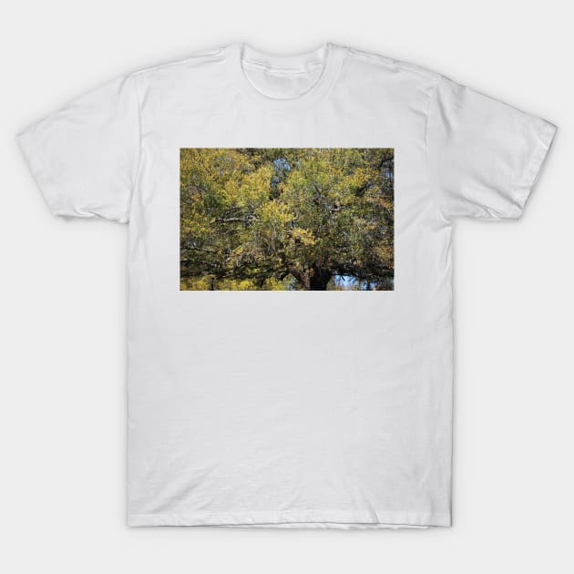 Colorful Tree In The Spring T-Shirt by Cynthia48